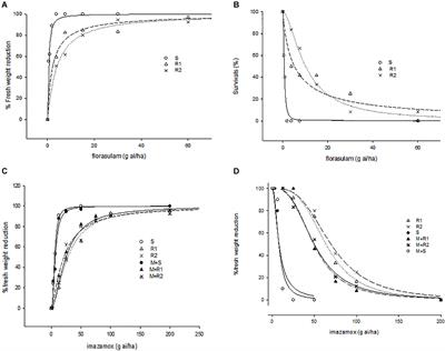 Point Mutations as Main Resistance Mechanism Together With P450-Based Metabolism Confer Broad Resistance to Different ALS-Inhibiting Herbicides in Glebionis coronaria From Tunisia